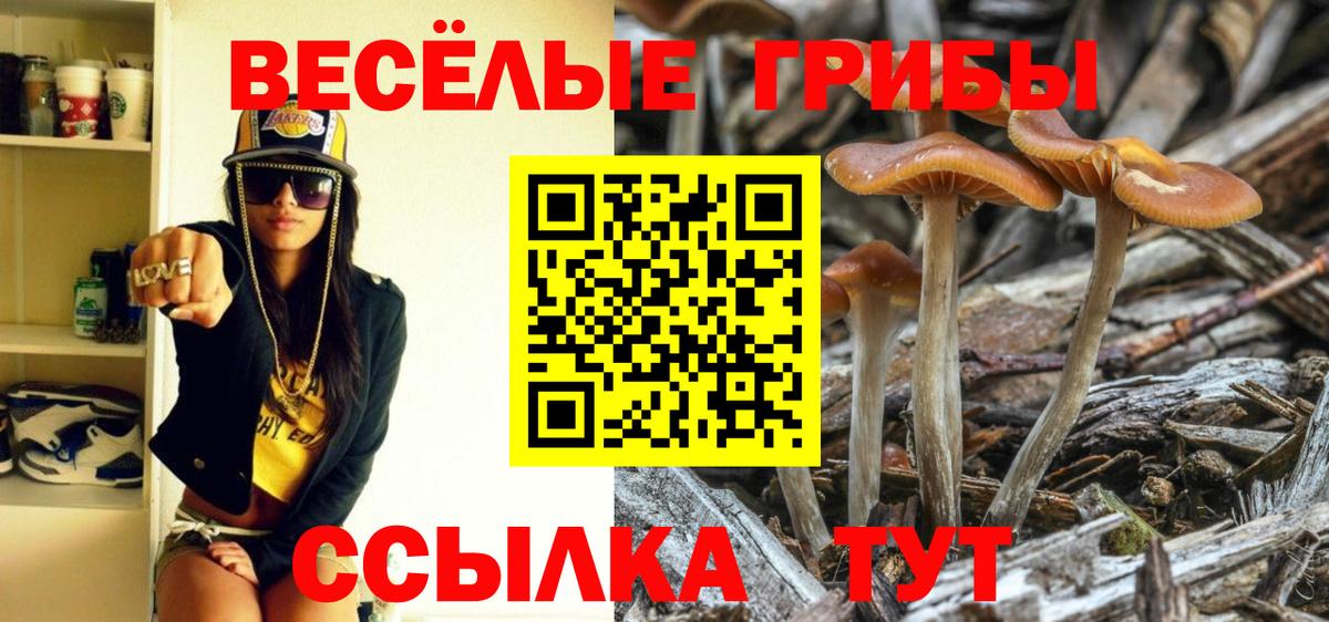 Галлюциногенные грибы GOLDEN TEACHER  Вход с VPN  Иркутск 
